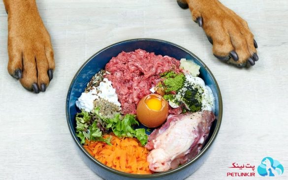 غذای خون ساز برای سگ ها
